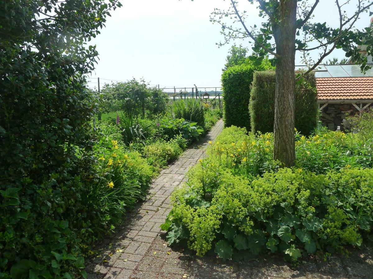 B&B De Kleine Wijngaard Roggel Dış mekan fotoğraf